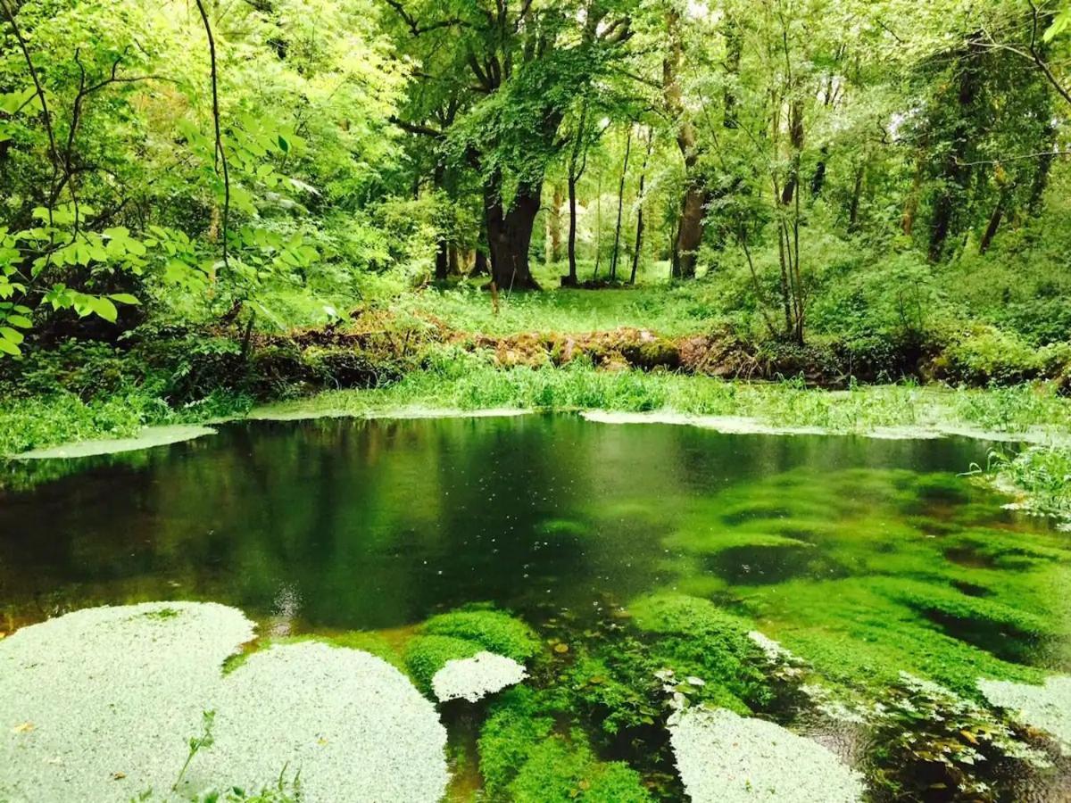 Affittacamere Cregg Castle Galway Esterno foto